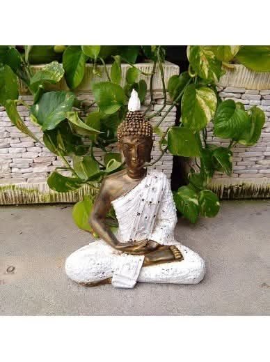 WhatsApp Image 2025-12-02 at 15.54.10