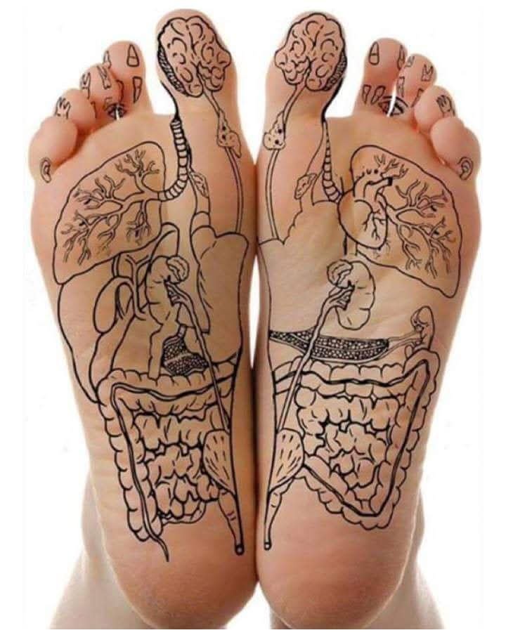 WhatsApp Image 2025-12-02 at 16.13.35